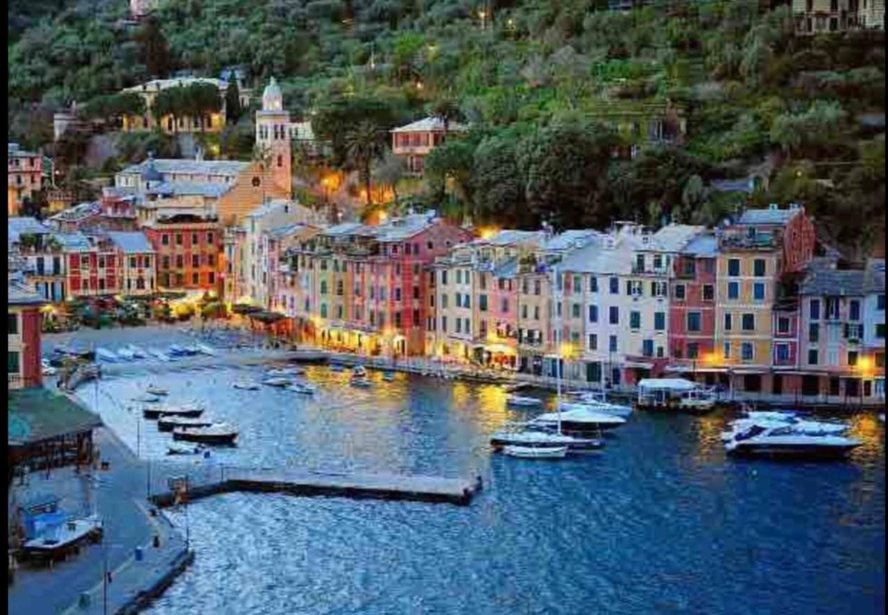 Amazing San Lorenzo 19, Rolli Palace Unesco - Stunning View Overlooking The Cathedral - Free Private Parking- Genua Exteriör bild